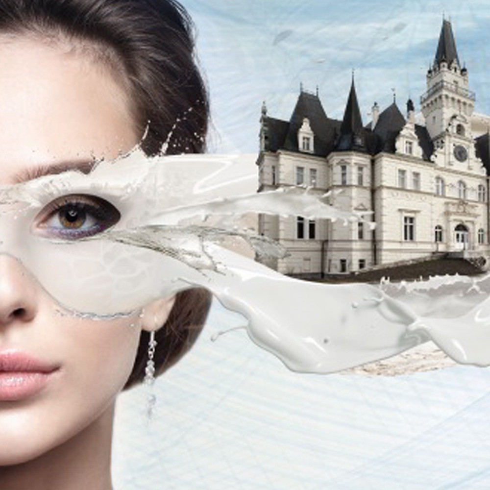 Traditional lime plasters NHL